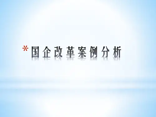 国企改革案例分析