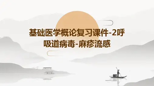 基础医学概论复习课件-2呼吸道病毒-麻疹流感