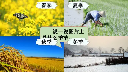 部编版二年级语文上册 第二单元(教学课件)识字4 田家四季歌