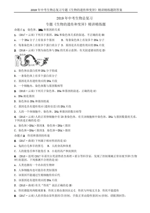 2019年中考生物总复习专题《生物的遗传和变异》精讲精练题附答案