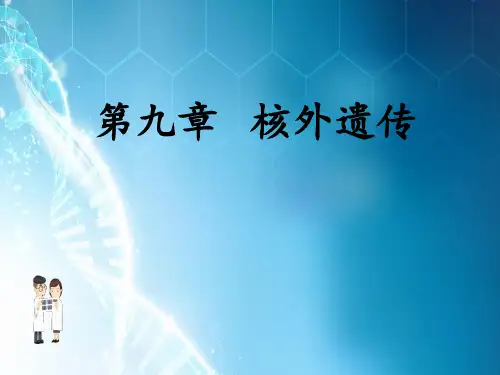 遗传学核外遗传(细胞质遗传)ppt课件