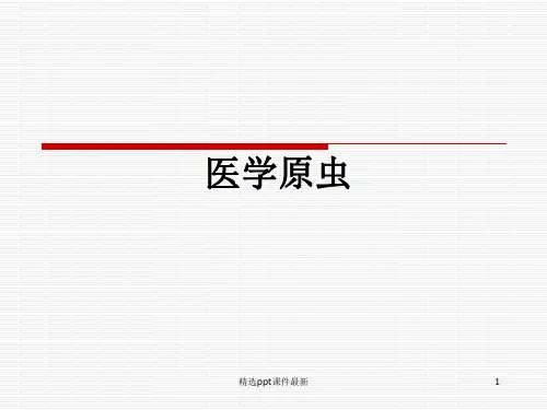 原虫概述阿米巴PPT课件