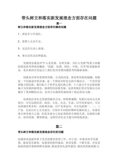 带头树立和落实新发展理念方面存在问题