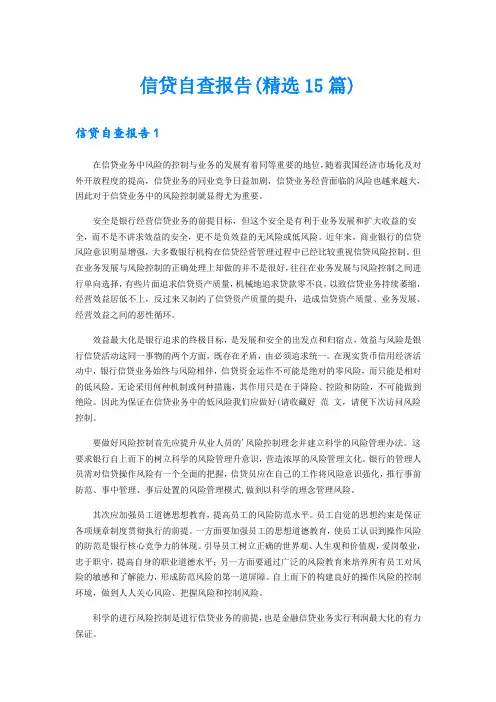 信贷自查报告(精选15篇)