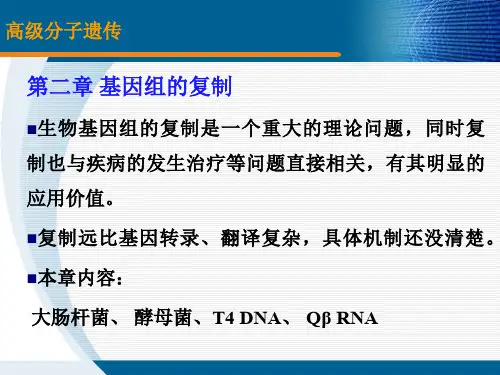 (二)高级分子遗传学第二章