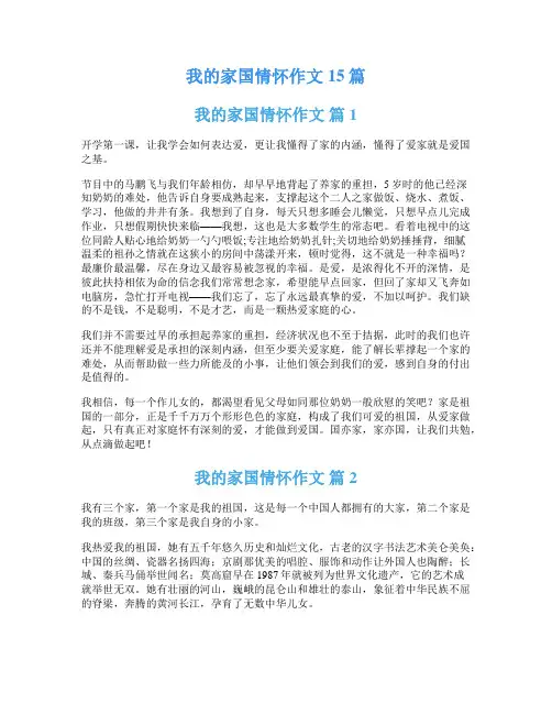 我的家国情怀作文15篇