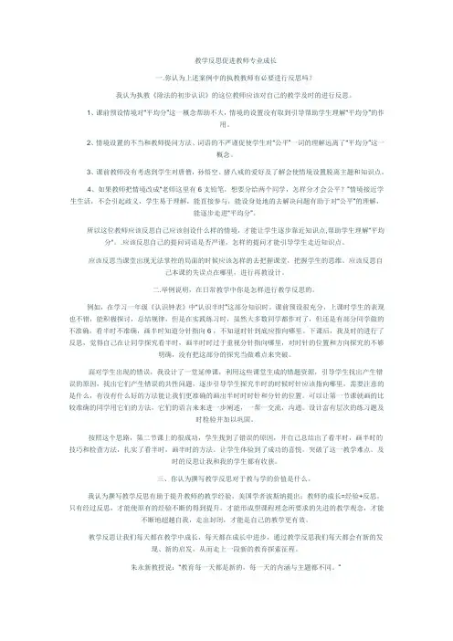 教学反思促进教师专业成长