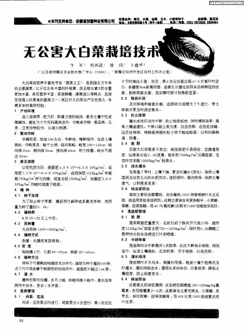 无公害大白菜栽培技术
