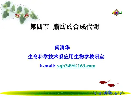 脂肪酸的合成第三次课