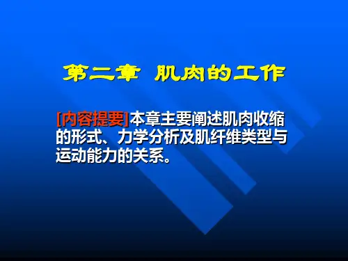 【基础医学】第二章 肌肉的工作