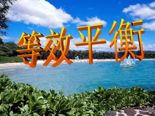 影响化学平衡的条件等效平衡