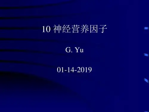 10神经营养因子-PPT文档资料