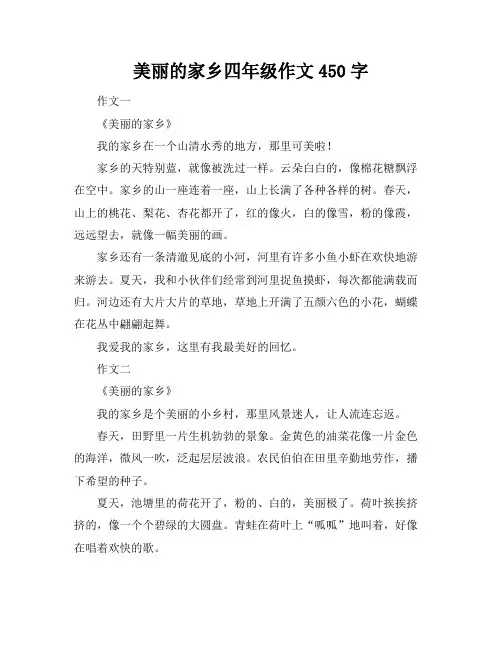 美丽的家乡四年级作文450字
