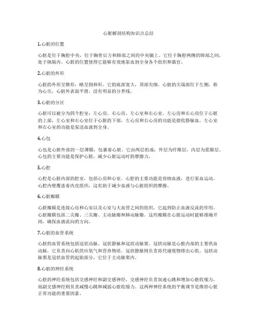 心脏解剖结构知识点总结