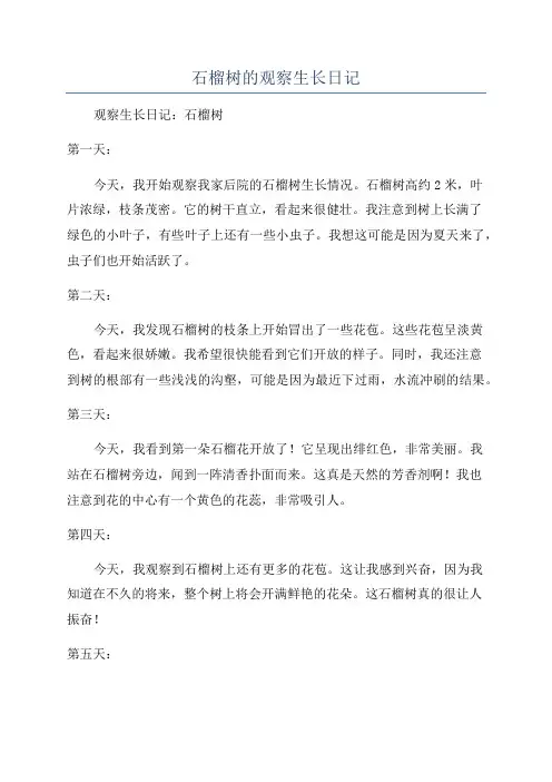 石榴树的观察生长日记