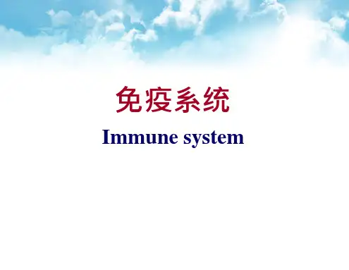 免疫系统-组织胚胎学实验