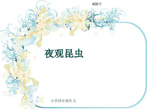 小学四年级作文《夜观昆虫》400字(共7页PPT)