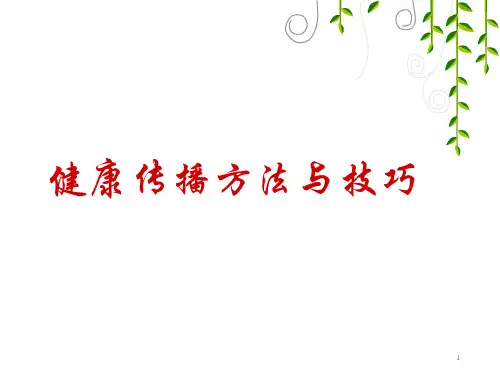 健康传播  ppt课件