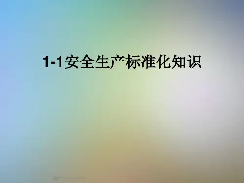 1-1安全生产标准化知识