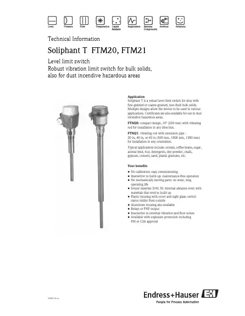 Soliphant T FTM20、FTM21级别限位开关说明书