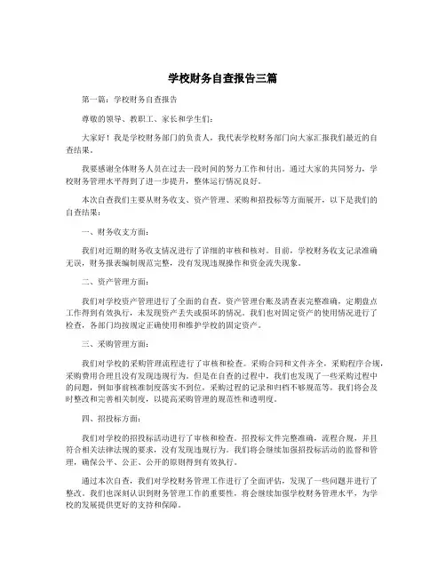 学校财务自查报告三篇