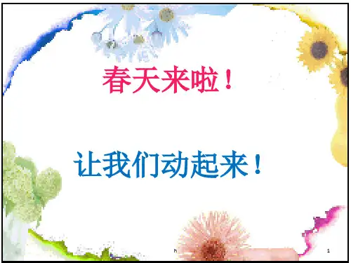 《乒乓球技战术理论》PPT课件