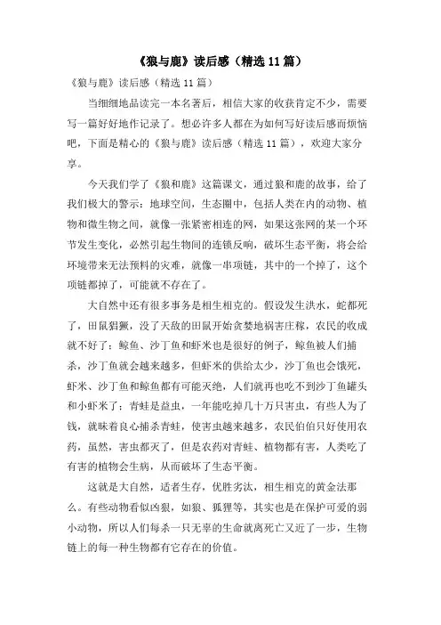《狼与鹿》读后感(11篇)