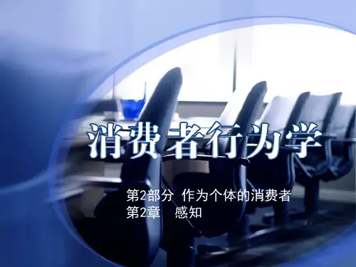 消费者行为学(第二版)第02章感知
