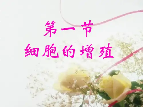 细胞的增殖课件(共46张PPT)