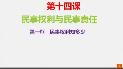 教科版九年级道德与法治上册 14.1民事权利知多少 (22张幻灯片)