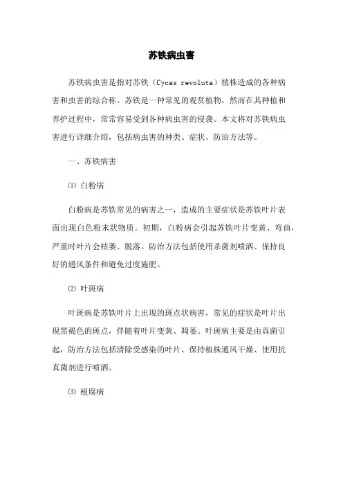 苏铁病虫害