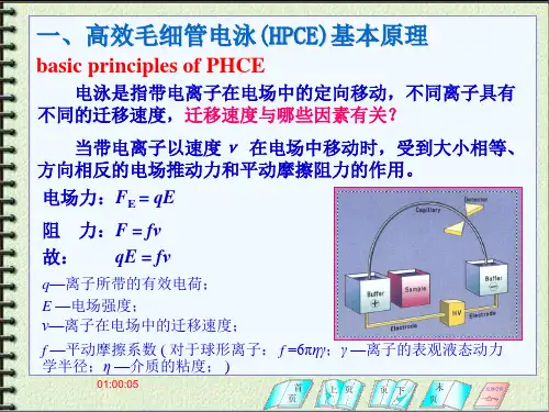 高效毛细管电泳的理论基础