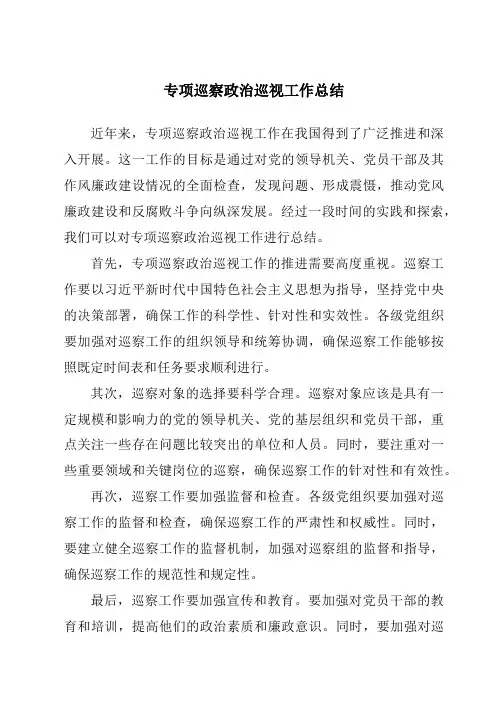 专项巡察政治巡视工作总结