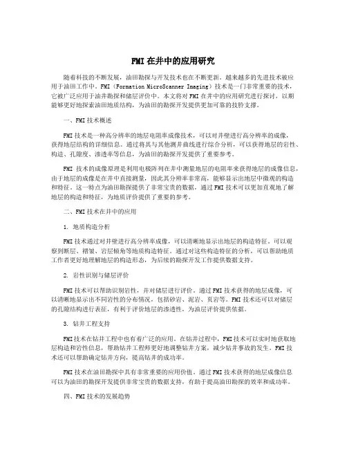 FMI在井中的应用研究