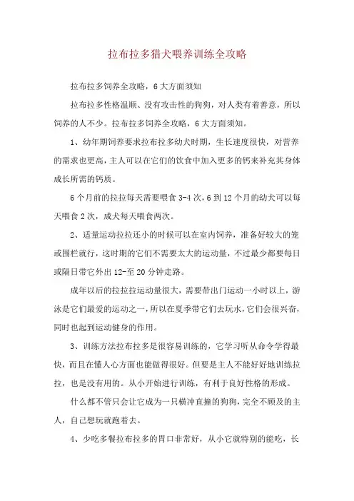 拉布拉多猎犬喂养训练全攻略