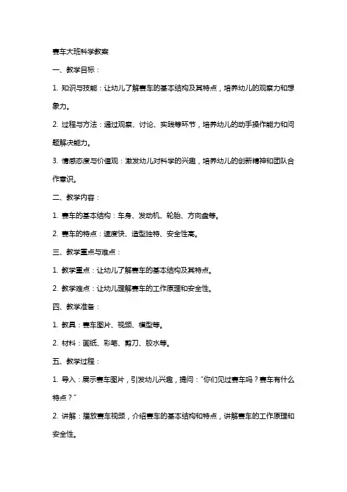 赛车大班科学教案