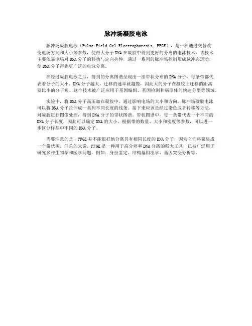 脉冲场凝胶电泳