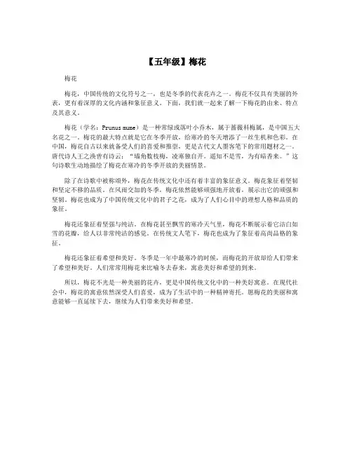 【五年级】梅花