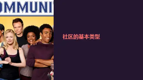 《社区的基本类型》课件