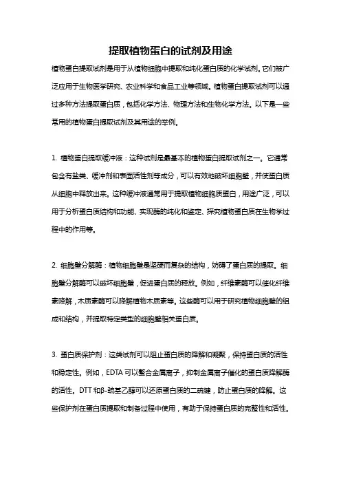 提取植物蛋白的试剂及用途