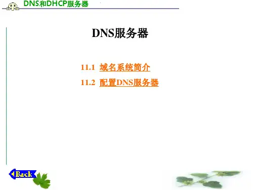 DNS服务器的配置与管理