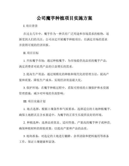 公司魔芋种植项目实施方案
