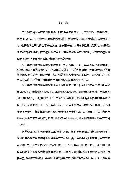甘肃省金昌市金川区金川集团粉体材料有限公司1000t_a电子级氧化铜粉项目报告书全本[管理资料]