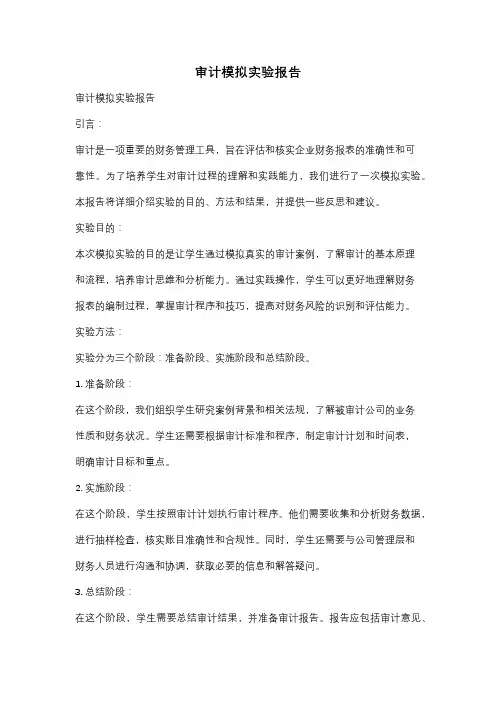 审计模拟实验报告
