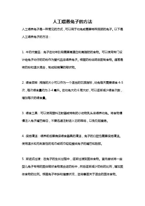 人工喂养兔子的方法