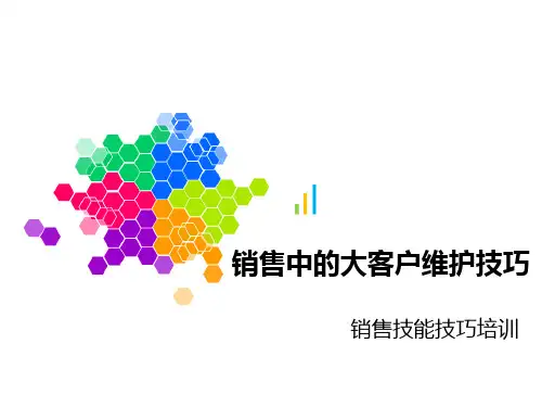 大客户维护的技巧PPT课件