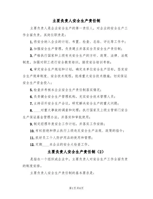 主要负责人安全生产责任制(3篇)