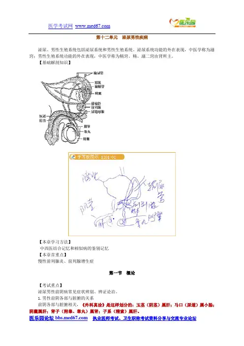 12中医外科学讲义 泌尿男性疾病
