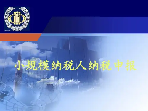 小规模申报表填写