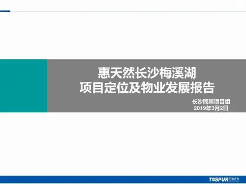 同策2019惠天然长沙梅溪湖的项目定位及物业发展的报告183P